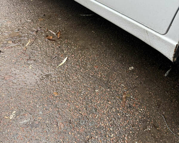 Білий Деу Ланос, об'ємом двигуна 1.5 л та пробігом 200 тис. км за 1499 $, фото 12 на Automoto.ua