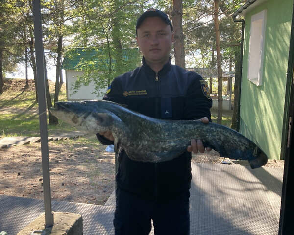 Чорний Деу Ланос, об'ємом двигуна 1.5 л та пробігом 189 тис. км за 2200 $, фото 28 на Automoto.ua