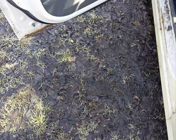 Белый Дэу Матиз, объемом двигателя 0.8 л и пробегом 144 тыс. км за 2200 $, фото 2 на Automoto.ua