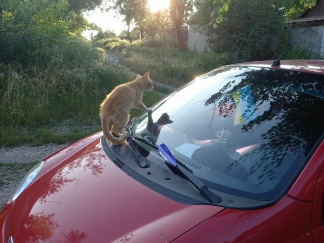 Червоний Деу Матіз, об'ємом двигуна 0.8 л та пробігом 187 тис. км за 1890 $, фото 14 на Automoto.ua