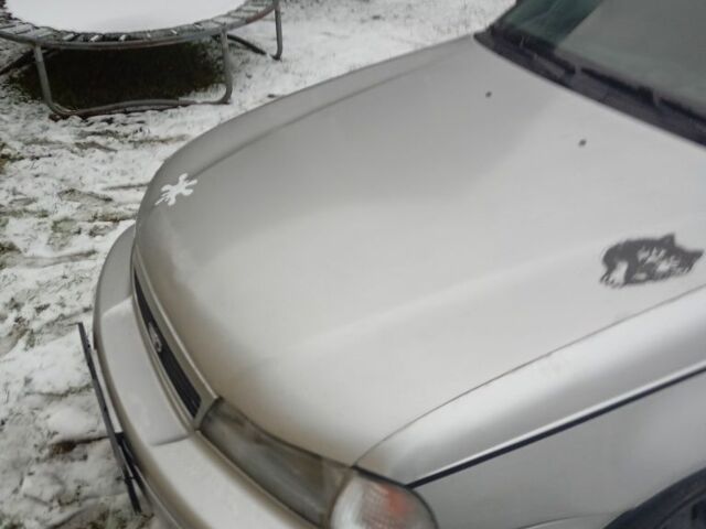 Серый Дэу Нексия, объемом двигателя 1.5 л и пробегом 300 тыс. км за 500 $, фото 3 на Automoto.ua