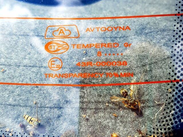 Сірий Деу Нексія, об'ємом двигуна 1.5 л та пробігом 65 тис. км за 3500 $, фото 4 на Automoto.ua