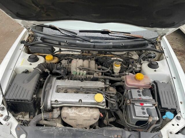 Білий Деу Нубіра, об'ємом двигуна 1.6 л та пробігом 250 тис. км за 1500 $, фото 12 на Automoto.ua