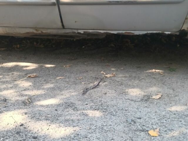 Серый Дэу Нубира, объемом двигателя 2 л и пробегом 290 тыс. км за 900 $, фото 8 на Automoto.ua