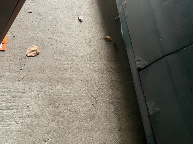 Зелений Деу Нубіра, об'ємом двигуна 1.6 л та пробігом 3 тис. км за 1500 $, фото 8 на Automoto.ua