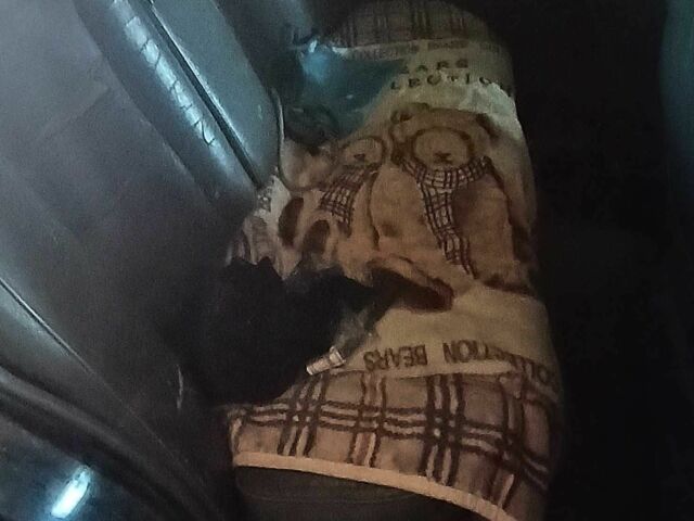 Черный Дэу Принц, объемом двигателя 2 л и пробегом 384 тыс. км за 1300 $, фото 6 на Automoto.ua