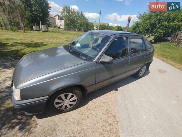 Сірий Деу Рейсер, об'ємом двигуна 1.5 л та пробігом 422 тис. км за 1300 $, фото 8 на Automoto.ua