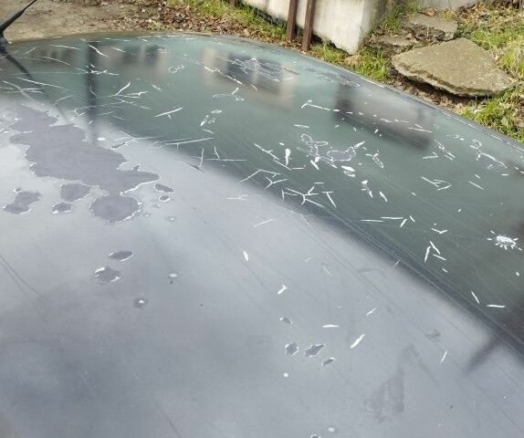 Черный Дэу Сенс, объемом двигателя 1.5 л и пробегом 244 тыс. км за 1650 $, фото 7 на Automoto.ua