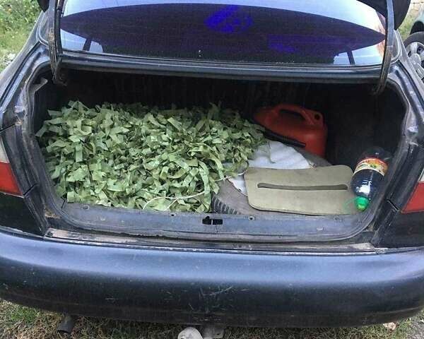 Чорний Деу Сенс, об'ємом двигуна 1.3 л та пробігом 296 тис. км за 998 $, фото 7 на Automoto.ua