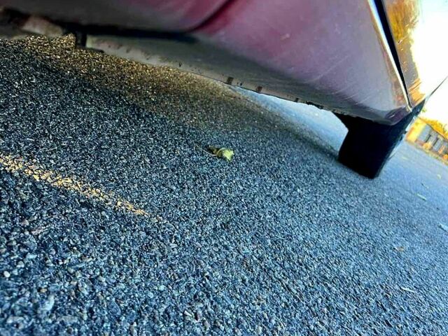 Красный Дэу Сенс, объемом двигателя 1.3 л и пробегом 210 тыс. км за 2200 $, фото 16 на Automoto.ua