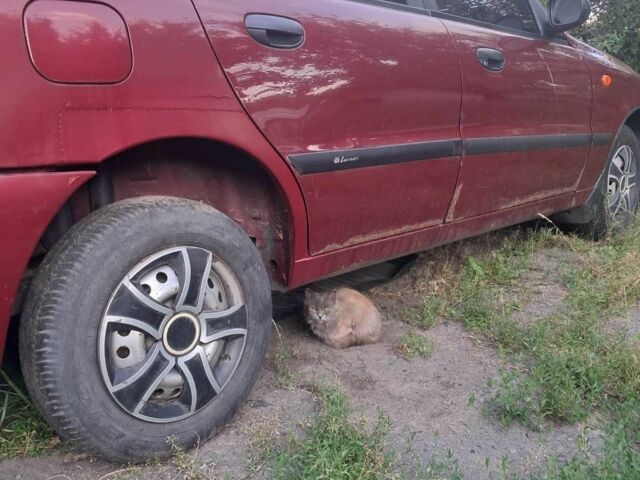 Красный Дэу Сенс, объемом двигателя 0 л и пробегом 190 тыс. км за 1500 $, фото 3 на Automoto.ua