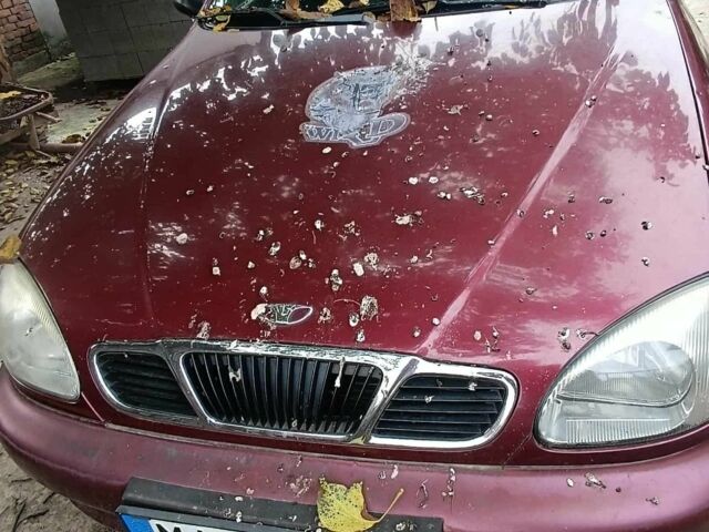 Красный Дэу Сенс, объемом двигателя 0 л и пробегом 322 тыс. км за 600 $, фото 2 на Automoto.ua