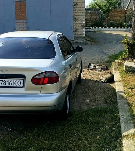 Дэу Сенс, объемом двигателя 1.3 л и пробегом 250 тыс. км за 1400 $, фото 5 на Automoto.ua