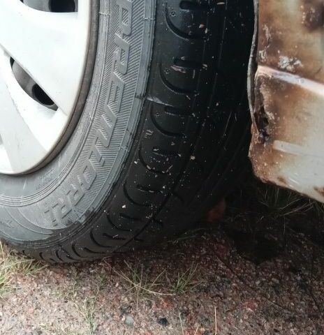 Серый Дэу Сенс, объемом двигателя 0 л и пробегом 377 тыс. км за 1000 $, фото 10 на Automoto.ua