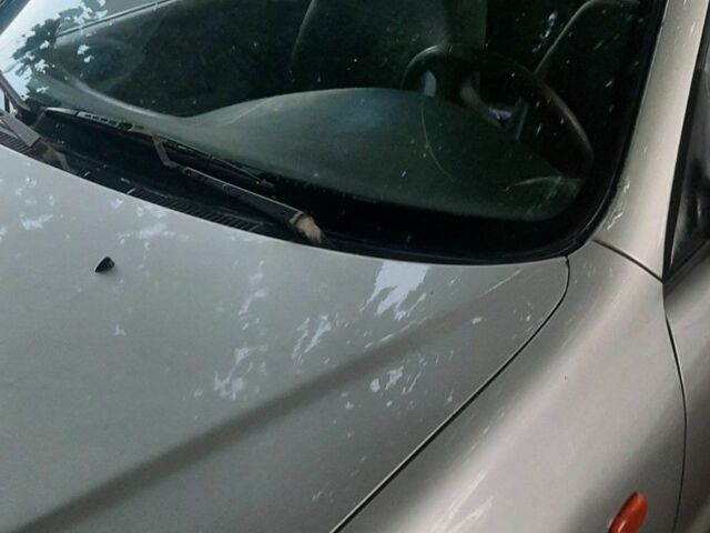 Сірий Деу Сенс, об'ємом двигуна 0 л та пробігом 350 тис. км за 1200 $, фото 3 на Automoto.ua