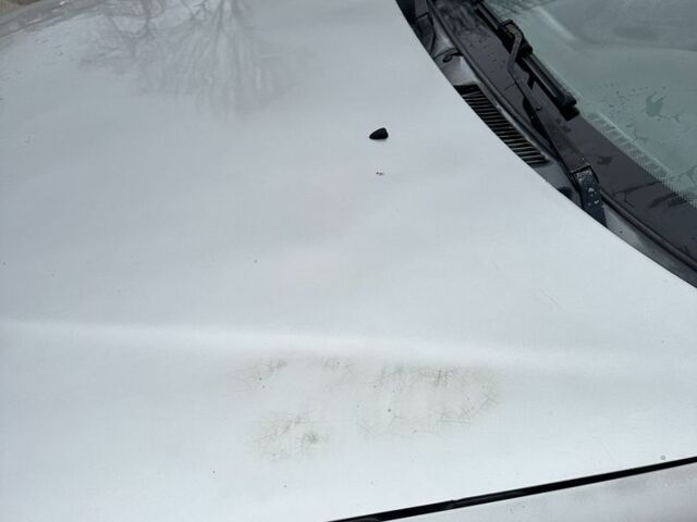 Серый Дэу Сенс, объемом двигателя 1.5 л и пробегом 181 тыс. км за 1200 $, фото 7 на Automoto.ua