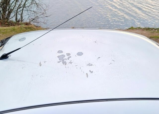 Серый Дэу Сенс, объемом двигателя 1.3 л и пробегом 266 тыс. км за 1183 $, фото 4 на Automoto.ua