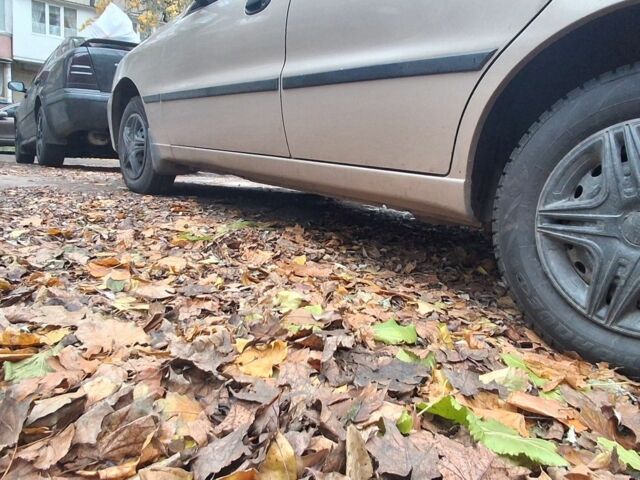 Серый Дэу Сенс, объемом двигателя 1.3 л и пробегом 130 тыс. км за 2500 $, фото 3 на Automoto.ua