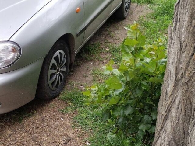 Дэу Сенс 2007 в Кривом Роге на Automoto.ua Серый Дэу Сенс, объемом двигателя 1.3 л и пробегом 139 тыс. км за 1500 $, фото 3 на Automoto.ua