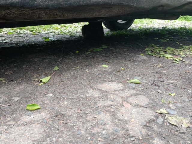 Синій Деу Сенс, об'ємом двигуна 1.5 л та пробігом 280 тис. км за 2257 $, фото 12 на Automoto.ua