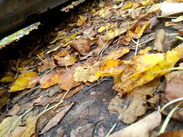 Синий Дэу Сенс, объемом двигателя 1.3 л и пробегом 0 тыс. км за 1600 $, фото 8 на Automoto.ua