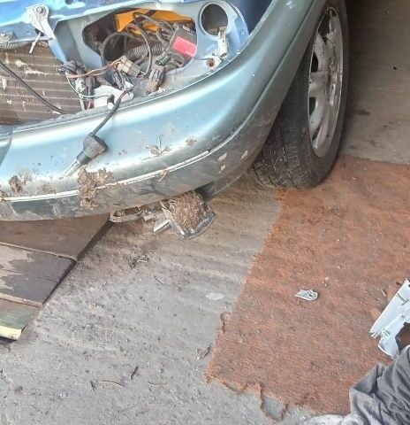Синий Дэу Сенс, объемом двигателя 0 л и пробегом 286 тыс. км за 600 $, фото 6 на Automoto.ua