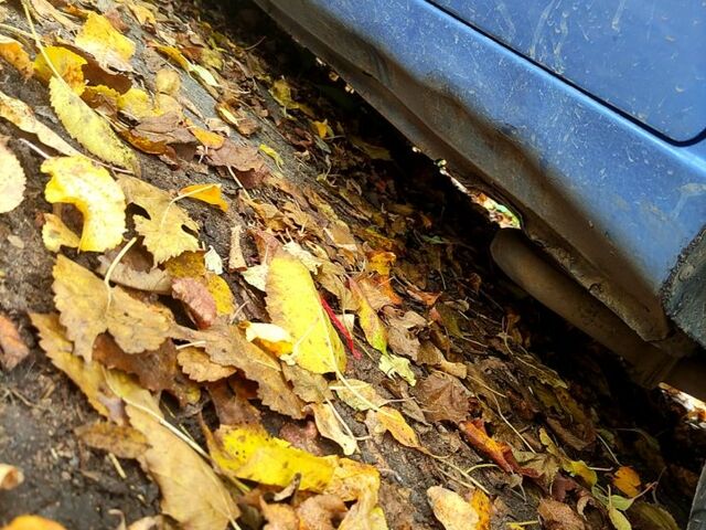 Синий Дэу Сенс, объемом двигателя 1.3 л и пробегом 0 тыс. км за 1600 $, фото 6 на Automoto.ua