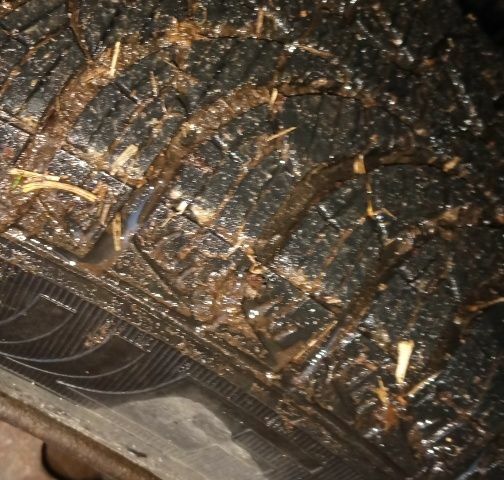 Зелений Деу Сенс, об'ємом двигуна 0 л та пробігом 138 тис. км за 1450 $, фото 5 на Automoto.ua