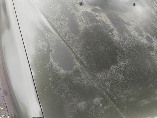 Зеленый Дэу Сенс, объемом двигателя 1.6 л и пробегом 195 тыс. км за 1350 $, фото 6 на Automoto.ua