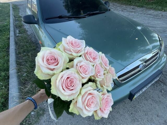 Зеленый Дэу Сенс, объемом двигателя 1.3 л и пробегом 134 тыс. км за 2700 $, фото 10 на Automoto.ua