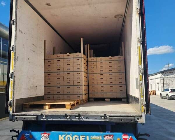 Серый Даф 95, объемом двигателя 12.6 л и пробегом 2 тыс. км за 12500 $, фото 14 на Automoto.ua