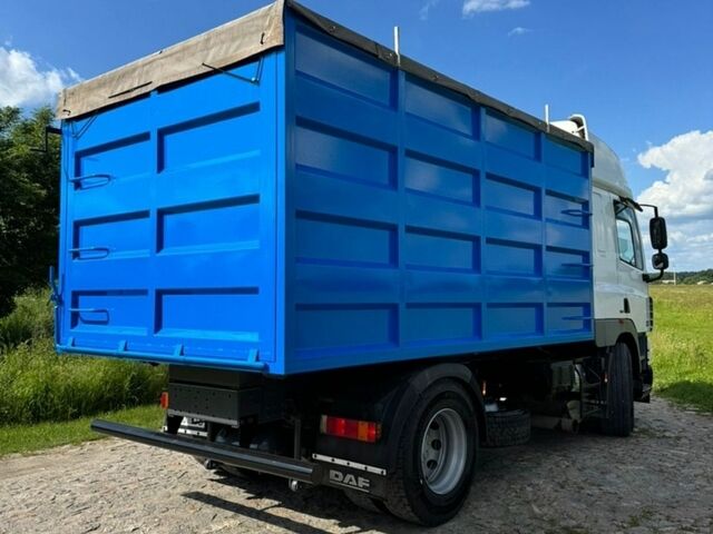 Белый Даф СФ, объемом двигателя 12.9 л и пробегом 1 тыс. км за 17000 $, фото 8 на Automoto.ua