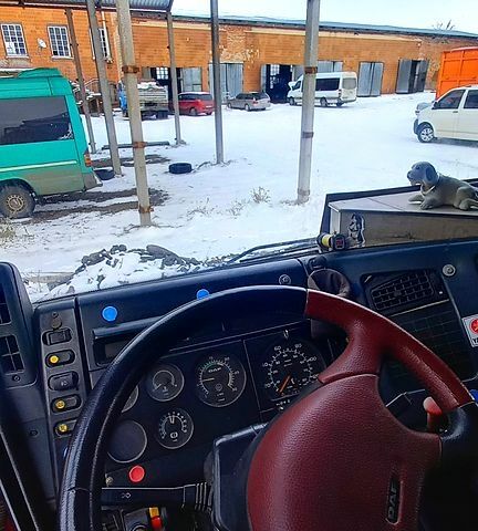 Даф СФ, объемом двигателя 12.6 л и пробегом 30 тыс. км за 19500 $, фото 6 на Automoto.ua