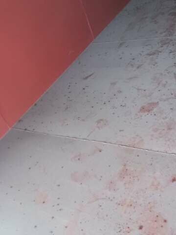 Даф СФ, объемом двигателя 0 л и пробегом 950 тыс. км за 55000 $, фото 37 на Automoto.ua