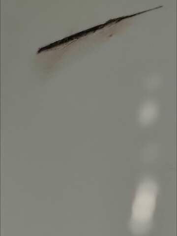 Белый Даф ФА, объемом двигателя 6.69 л и пробегом 989 тыс. км за 15900 $, фото 6 на Automoto.ua