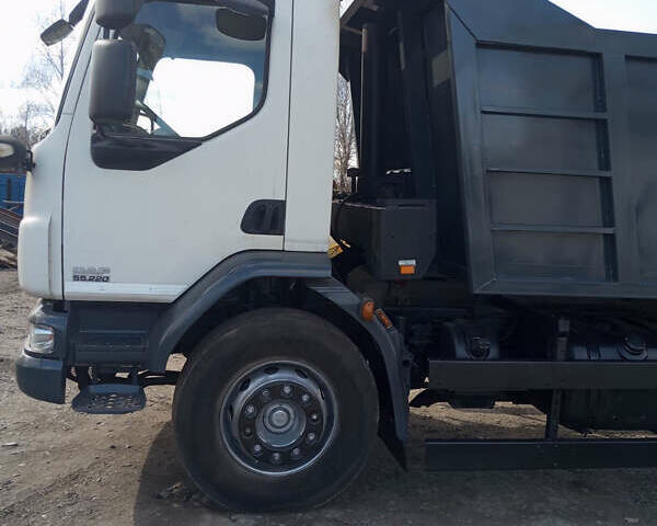 Даф LF, об'ємом двигуна 0 л та пробігом 89 тис. км за 36000 $, фото 7 на Automoto.ua