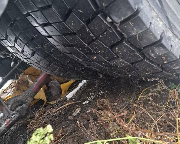 Белый Даф TE, объемом двигателя 0 л и пробегом 100 тыс. км за 5500 $, фото 3 на Automoto.ua