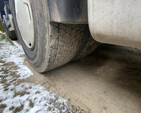 Білий Даф XF, об'ємом двигуна 0 л та пробігом 300 тис. км за 9500 $, фото 4 на Automoto.ua