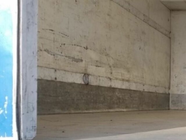 Даф Другая, объемом двигателя 0 л и пробегом 0 тыс. км за 2900 $, фото 2 на Automoto.ua