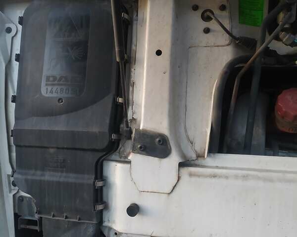 Білий Даф XF 105, об'ємом двигуна 12.9 л та пробігом 807 тис. км за 23500 $, фото 10 на Automoto.ua