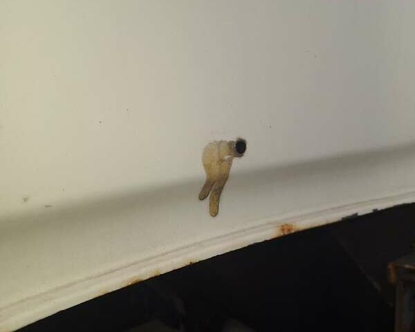 Белый Даф XF 105, объемом двигателя 12.9 л и пробегом 1 тыс. км за 20000 $, фото 8 на Automoto.ua