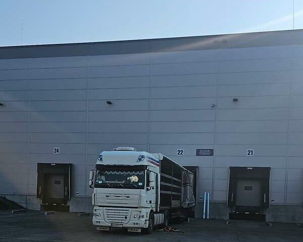 Белый Даф XF 105, объемом двигателя 12.9 л и пробегом 120 тыс. км за 15500 $, фото 11 на Automoto.ua