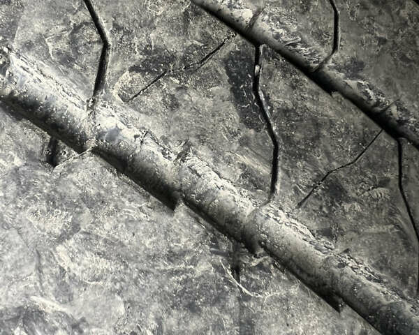 Коричневый Даф XF 105, объемом двигателя 12.9 л и пробегом 1 тыс. км за 11000 $, фото 3 на Automoto.ua