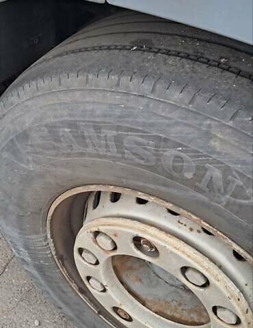 Білий Даф XF 95, об'ємом двигуна 12.58 л та пробігом 777 тис. км за 10000 $, фото 13 на Automoto.ua