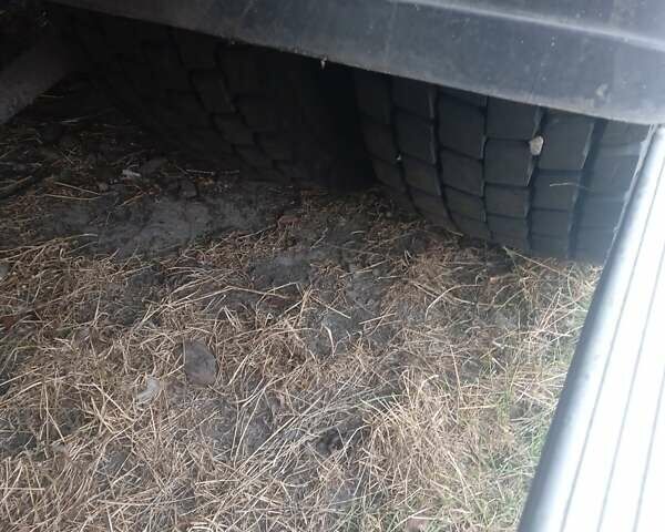 Белый Даф XF 95, объемом двигателя 12.6 л и пробегом 700 тыс. км за 8300 $, фото 4 на Automoto.ua