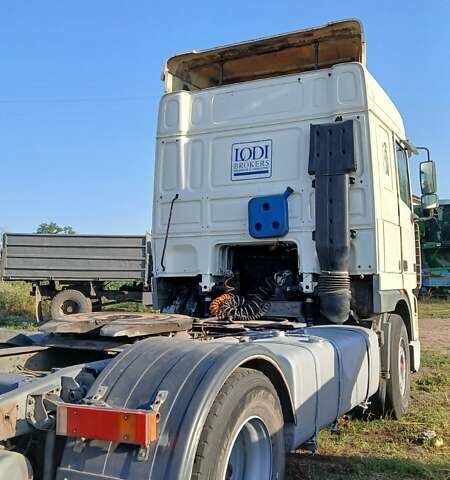 Білий Даф XF 95, об'ємом двигуна 12.58 л та пробігом 100 тис. км за 5000 $, фото 3 на Automoto.ua