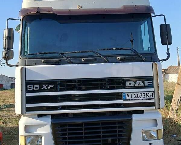 Білий Даф XF 95, об'ємом двигуна 12.58 л та пробігом 100 тис. км за 5000 $, фото 6 на Automoto.ua