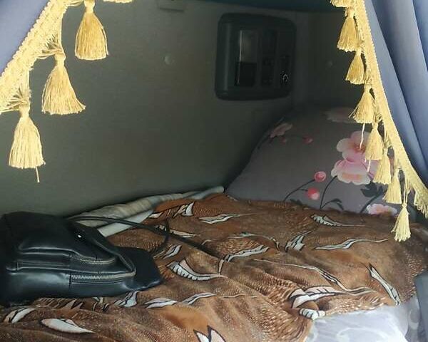 Белый Даф XF 95, объемом двигателя 12.58 л и пробегом 820 тыс. км за 23000 $, фото 11 на Automoto.ua