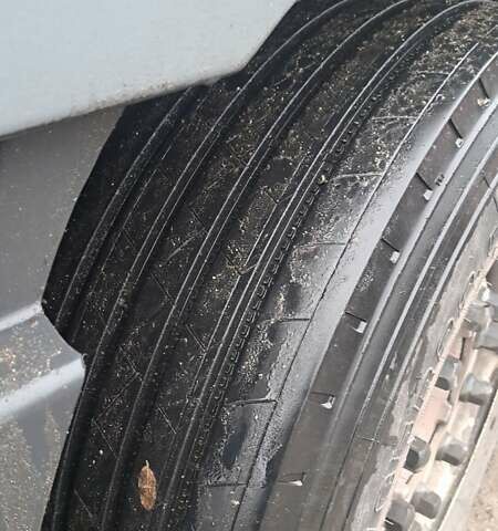 Белый Даф XF 95, объемом двигателя 12.58 л и пробегом 1 тыс. км за 9000 $, фото 2 на Automoto.ua