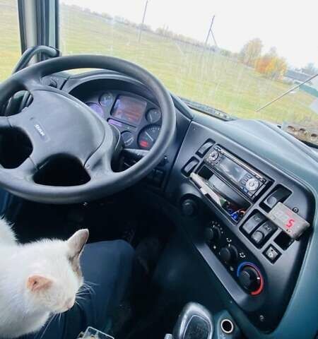 Білий Даф XF 95, об'ємом двигуна 12.58 л та пробігом 1000 тис. км за 9600 $, фото 3 на Automoto.ua